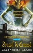 Orasul de Cenusa (seria Instrumente Mortale 2) de Cassandra Clare  -Carti bune de citit