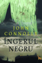 Ingerul Negru de John Connolly  -Carti bune de citit