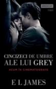 Cele 50 de vicii ale Domnului Gray (vol.1 Trilogia Cincizeci de umbre ale lui Gray) de E.L.James  -Carti bune de citit